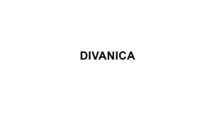 Товарный знак DIVANICA № 876626